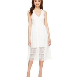Adrianna Papell Lace Tea Length A Line Dress